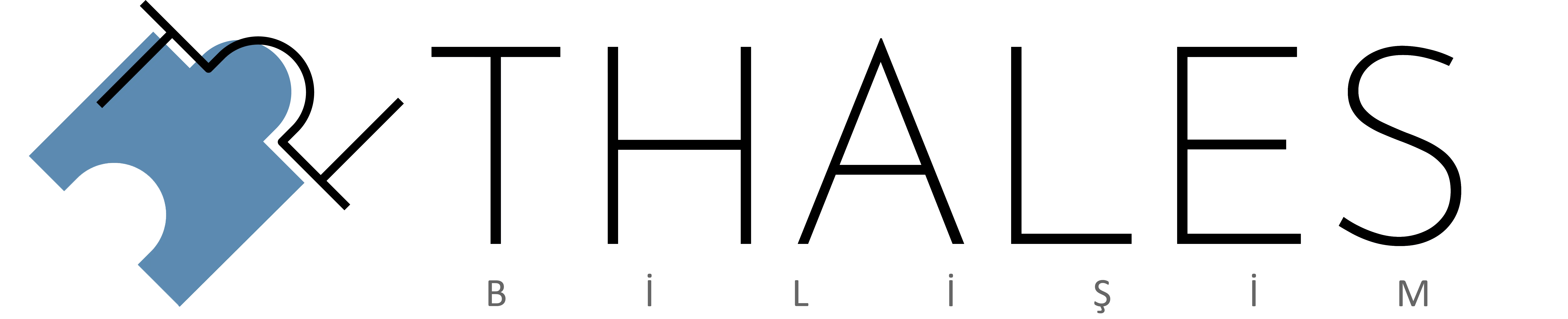 Thales Bilişim: Dijital Çözümler ve Teknoloji Danışmanlığı